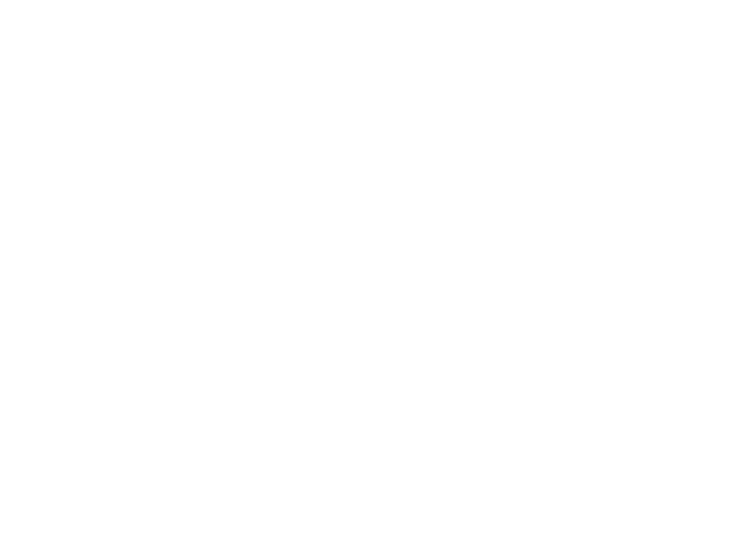 NIC.VE